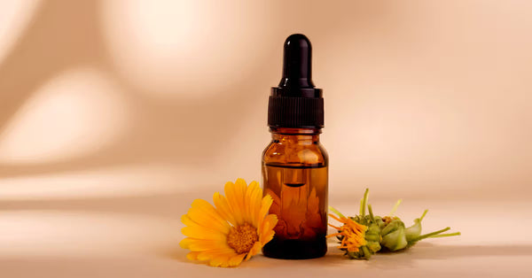 Calendula