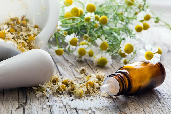 Chamomile