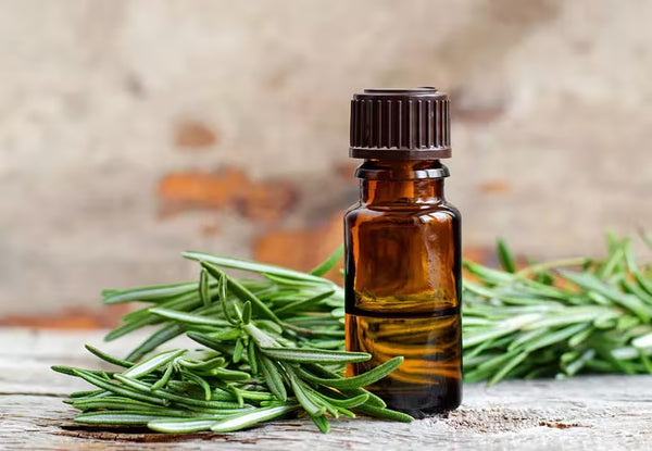 Rosemary Antioxidant